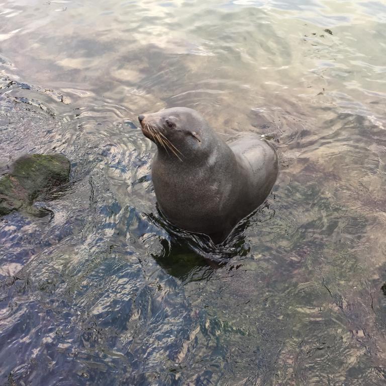 维多利亚之家住宿加早餐旅馆 波特兰 外观 照片